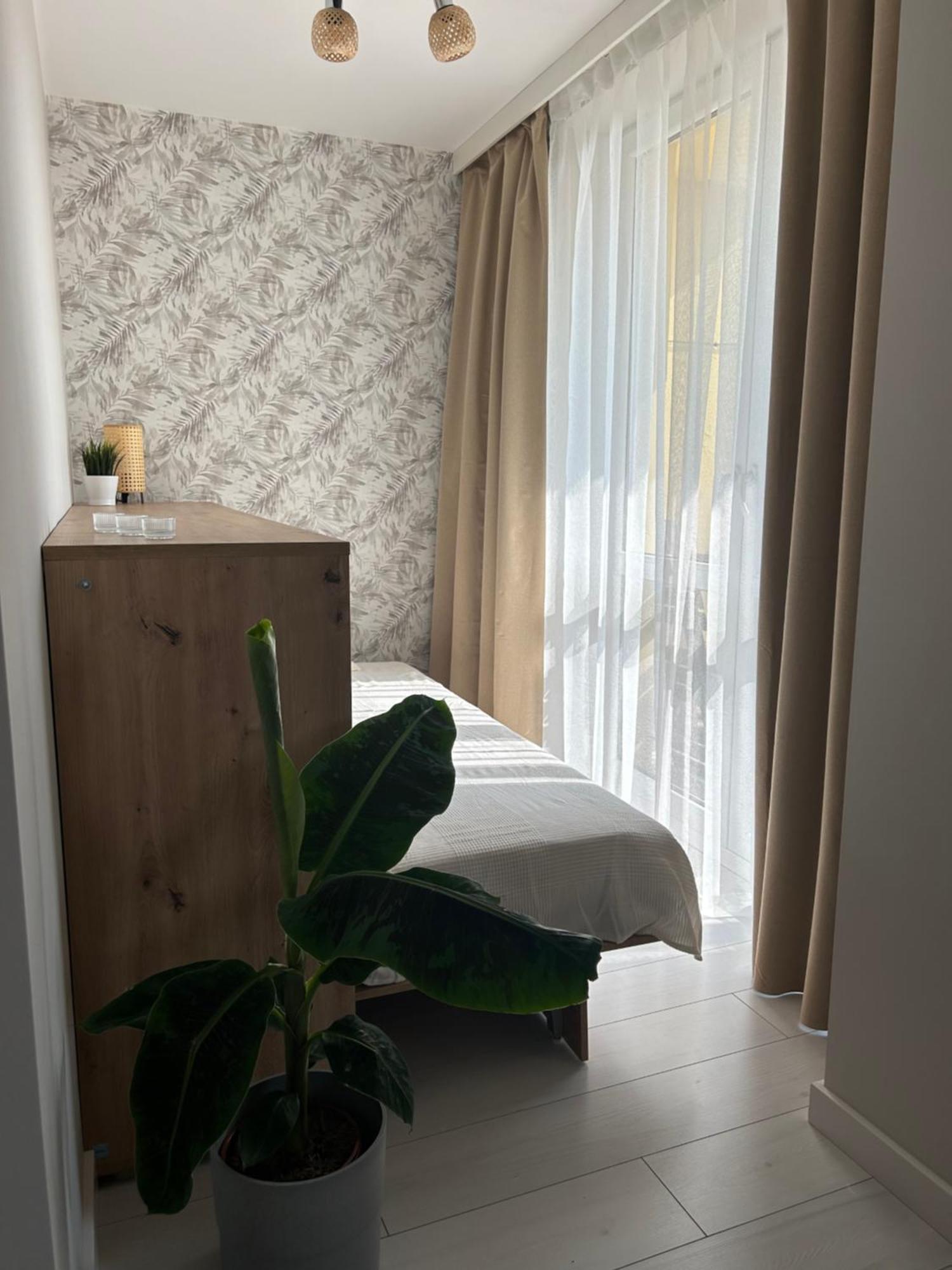 Dom & House - Apartments Kamienna Grobla Gdańsk Kültér fotó